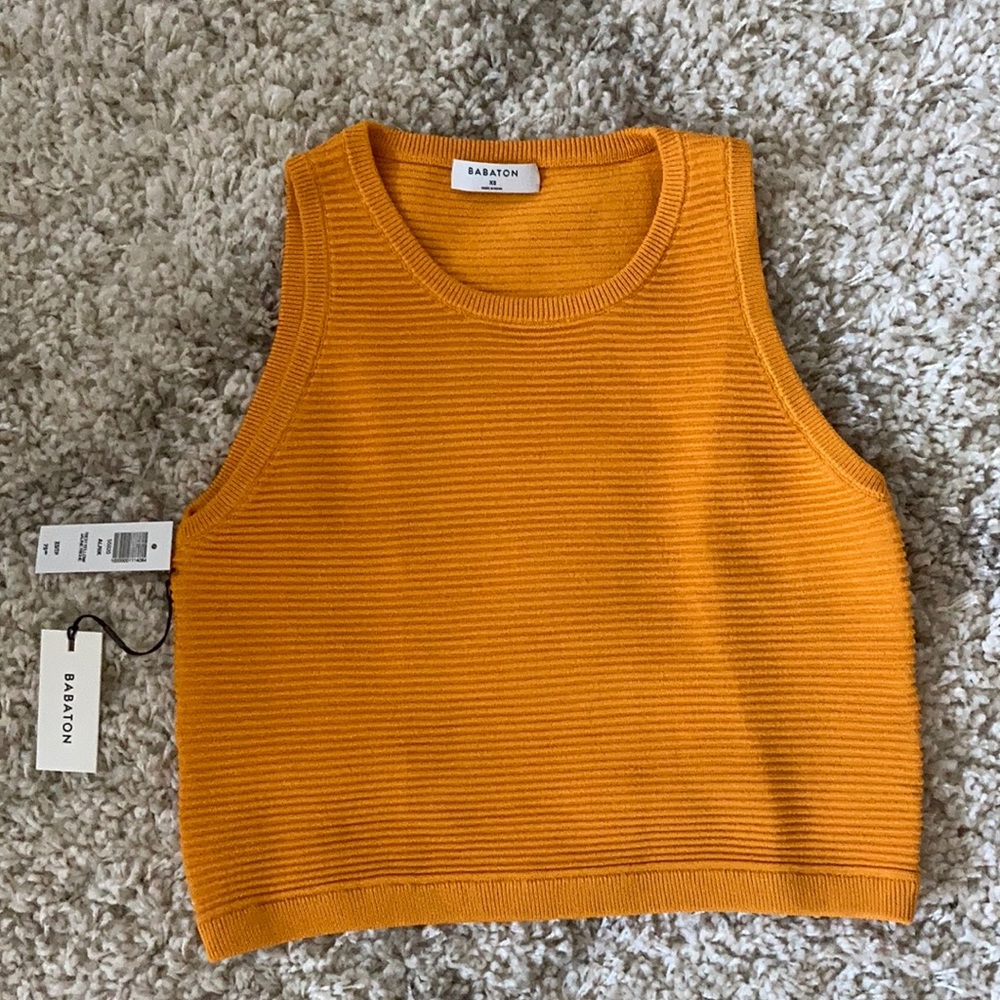 Babaton Alrik knit crop tank top from Aritzia